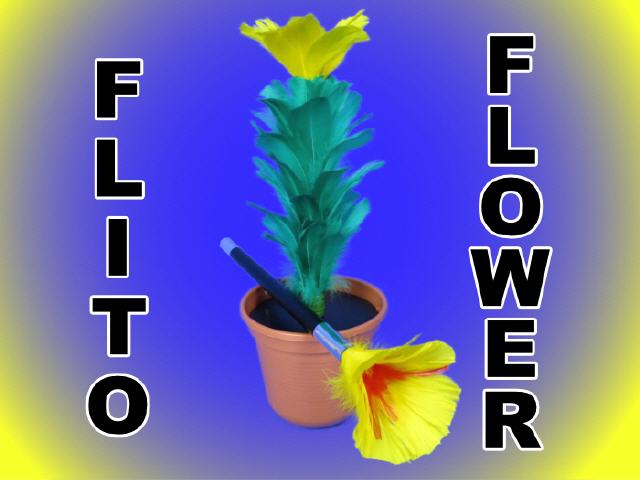 Flito Flower